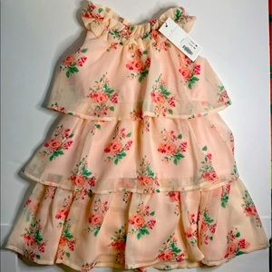 Janie and Jack 2t dress